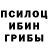 Галлюциногенные грибы Psilocybine cubensis Sereja Avdeyev