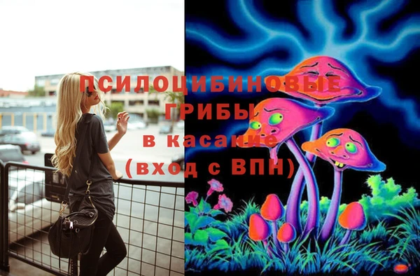 спайс Аркадак
