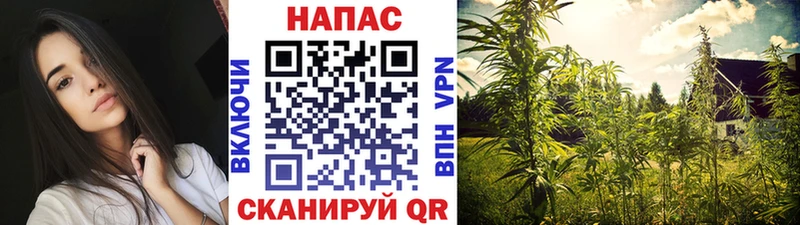 Канабис ГИДРОПОН  продажа наркотиков  Бавлы 